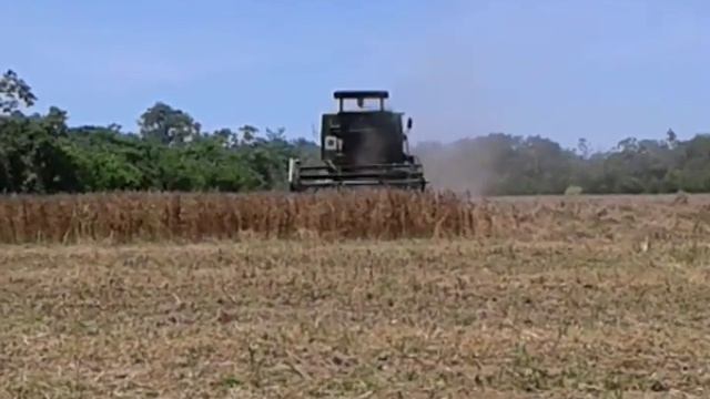 Cosecha de soja en la provincia ichilo departamento de santa cruz Bolivia смотреть онлайн