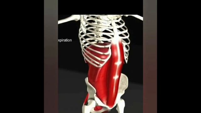 Движение живота и диафрагмы!. Мантра Блаватской О Е А О Ху У У У! смотреть онлайн