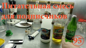 [95] Питательная смесь Мурасиге-Скуга (для травянистых растений) и WPM (для голубики, древесных)