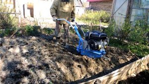 Дренаж из камней, посадка картошки.