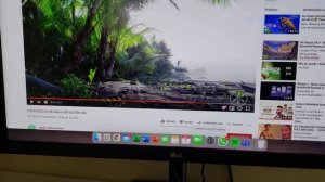 Review do monitor LG 24mk430h