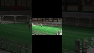 Породистый "Золотистый ретривер" на соревнованиях