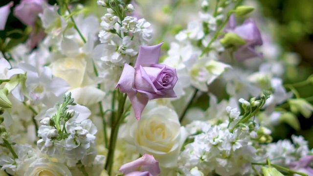 Ave Maria - Franz Schubert - Wedding Ceremony смотреть онлайн