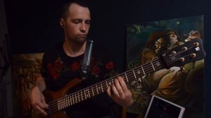 Звери feat. Таня Буланова - Дожди-пистолеты (bass cover)