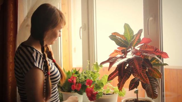 Рөстәм Гыйльфанов "Дөнья матур син булганга" смотреть онлайн