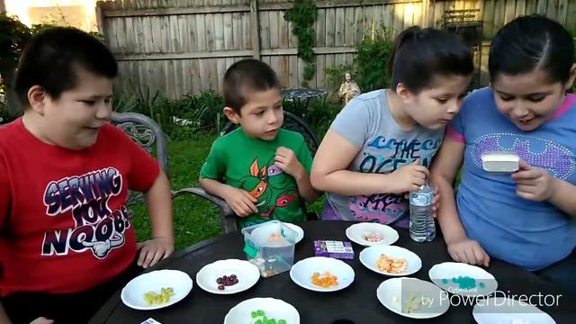Jelly Belly Bean Boozled Challenge смотреть онлайн