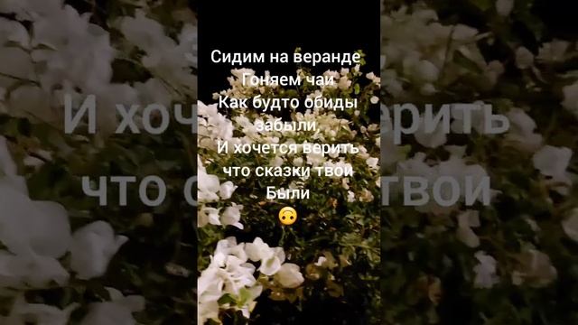 Автор: Брысь, стишки пирожки