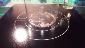 Родий в герконах/Аффинаж герконов/ПолуАффинаж Родия/