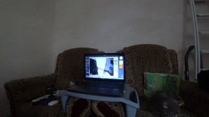 Отключил подсветку в камере наблюдения