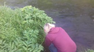 БЕЖИН ЛУГ Святой Источник Прощеный Колодец./ТУЛЬСКИЙ КРАЙ Российская Глубинка/Путешествия по России