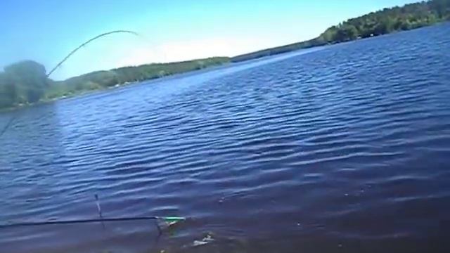 РаМеНсКиЙ рЫбХоЗ гЖеЛкА смотреть онлайн