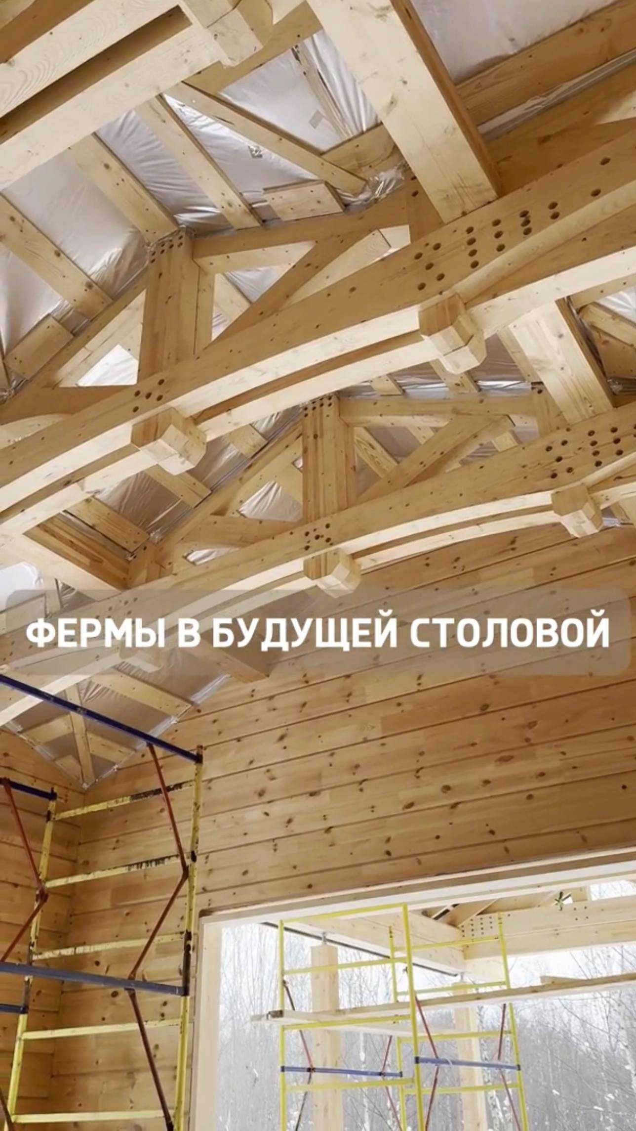 Решили вырезать стену в деревянном доме Риверхаус