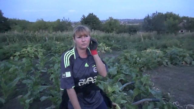 влог, заботы хлопоты, нужно многое успеть, коля оля шаповаловы