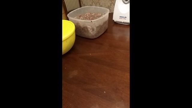 Рецепт охотничьих колбасок