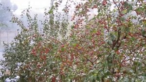 Снег в Орске 12.10.2016г.mp4