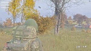 Баги, не до баги, крашим сервер Dayz