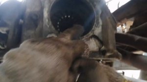 Замена сцепления Газель