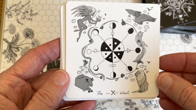 Dark Days Tarot walkthrough, first impressions and pairing with Reclaim Oracle смотреть онлайн