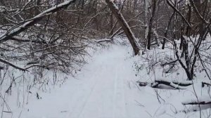 Места самарской области. Тимашево