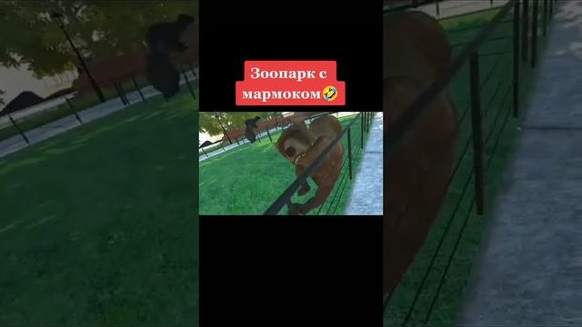 пов:наш типичный зоопарк Москвы#marmok#zoopark