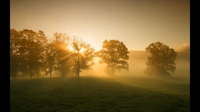 Золота осінь. Багряний, золотий, помаранчевий, жовтий – яких тільки кольорів не шкодує пані Осінь. смотреть онлайн