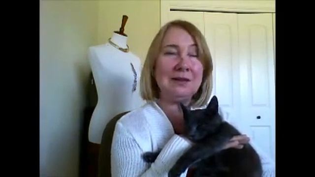 Как приобрести котика из шелтора ( приюта) для животных в США смотреть онлайн