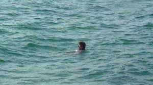 Про Машу, Надю и Пашу, сказка пятая, Пирс