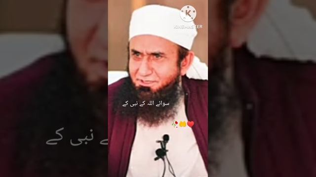 Abdullah bin ubai/MuNafiqon Ka Sardar(Moulana Tariq Jameel) Islamic Status