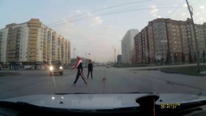 Дикие звери на улицах Новосибирска