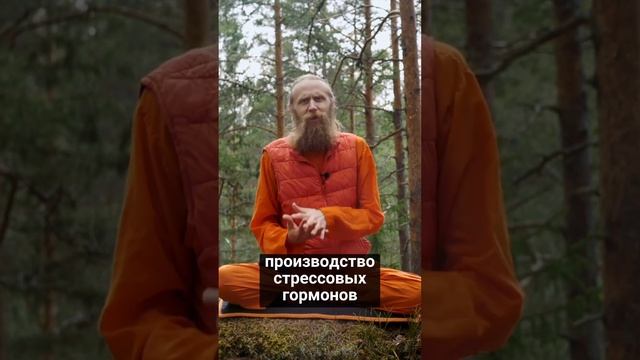 Как уменьшить количество стресса, расслабиться и отдохнуть?