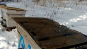 Первый облёт пчёл весной после зимовки. Важное событие в жизни пчеловода 22 февраля 2021 г.
