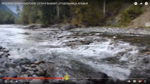 Абвгат - через космический мусор опять к отшельнице. Метавселенная уток и ручные медведи.