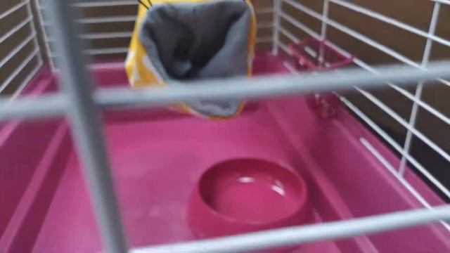 Гамак для грызунов Антицарапки смотреть онлайн