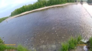 ГОРБУША 2023 никому ничего не должна. Река Ура.