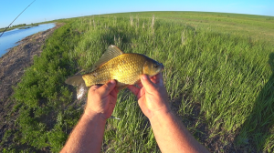 Ловля карася на пенопласт с идеальным сигнализатором поклёвки .