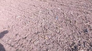 КОП НА СОВЕТСКОМ ХУТОРЕ!!!.SOREX PRO и Garrett AT PRO!!!ЧАСТЬ ПЕРВАЯ!!!