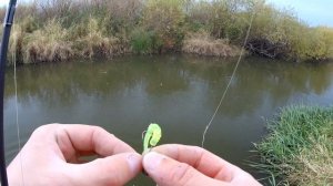 Ловля щуки на джиг осенью. Джиг с берега. Щука в октябре