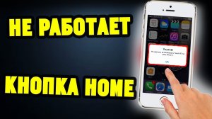 Как заменить кнопку Home на iPhone 5sSE Не работает Touch ID