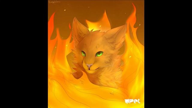 Коты воители (Эрин Хантер) Стань диким! (45 Глава) смотреть онлайн