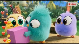 ANGRY BIRDS 2 silver live stream on computer
