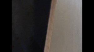 Заводские зеркала, и заглушки SE на ВАЗ 2107 #3