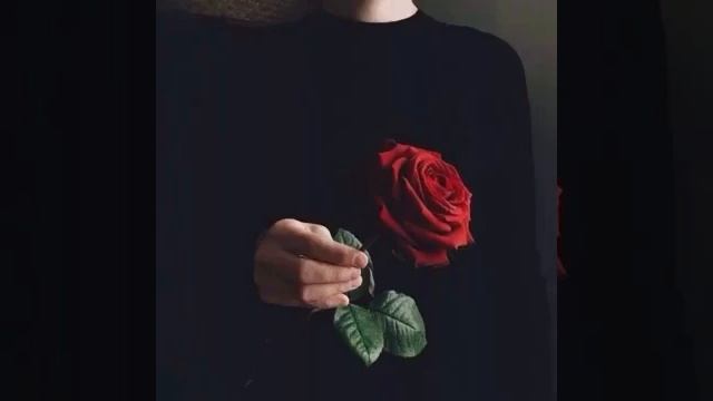 Я подарю тебе Розу? смотреть онлайн