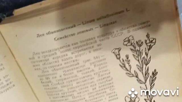 Польза льняной каши. Правда или миф?