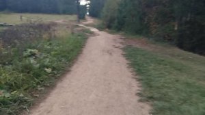 Пошли в лес за грибами
