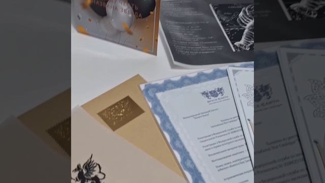 Бизнес подарочный набор Premium Star