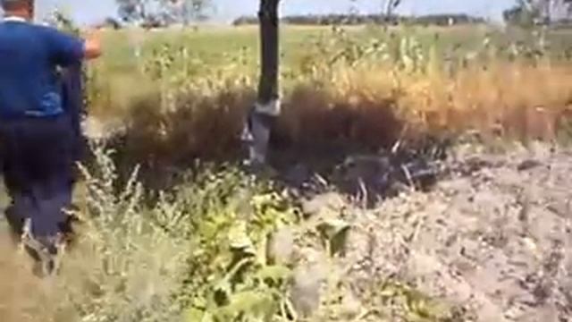 Самодельный, напузный, мобильный, зерноуборочный,комбайн