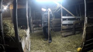 #овцеводство   деревенские заботы,кормим овец