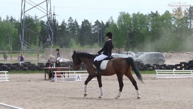 КСК Пальмира.Алина Самсонова. Манежная езда смотреть онлайн
