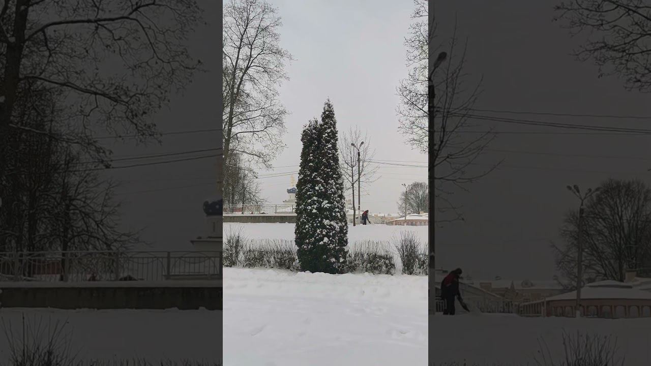 Заметает городской парк, Тверь. Sweeps the city park, Tver. #тверь #зимавРоссии #прогулкипотвери