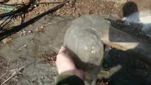 Как промыть скважину от песка и достать застрявший насос? Нужна мотопомпа, пожарный рукав, вода